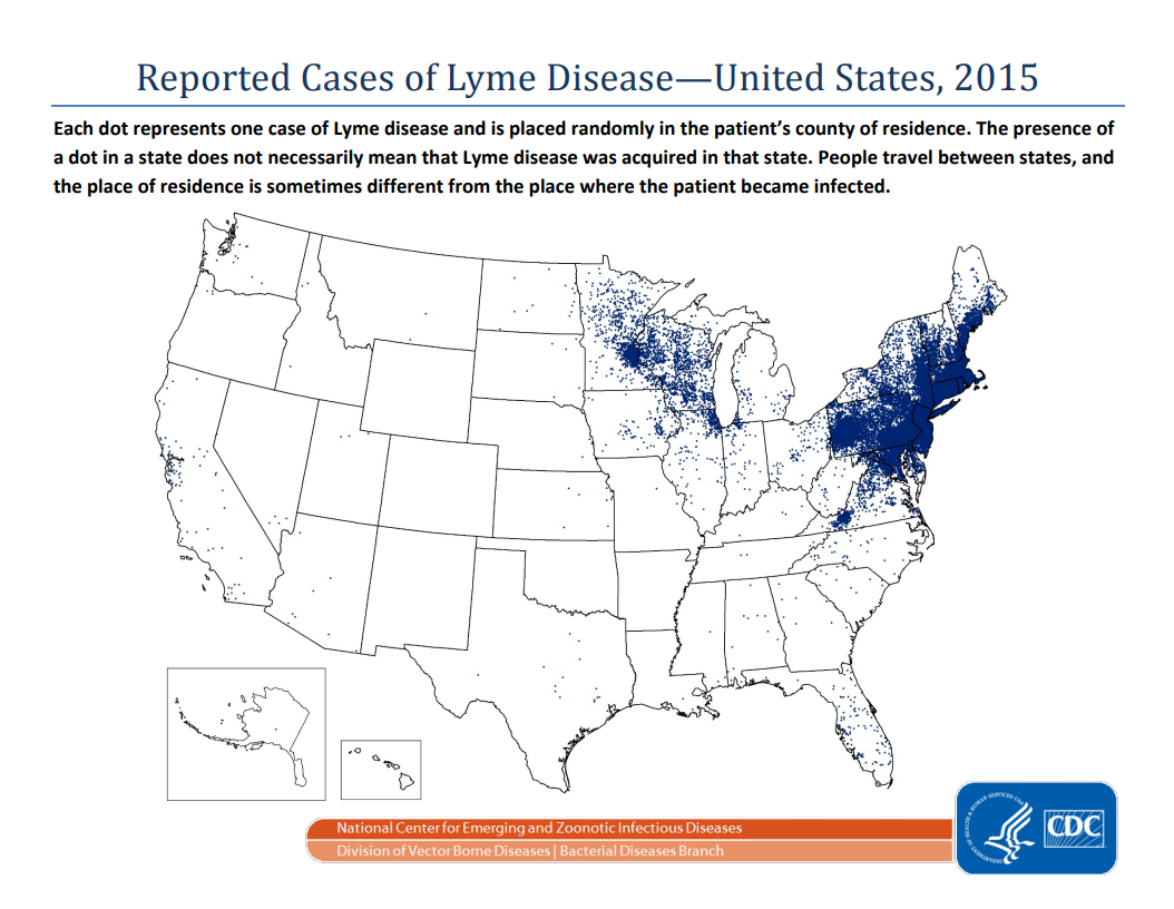 New Lyme Disease Test Hits the Bullseye American Council on Science and Health